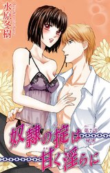 奴●の掟は甘く淫らに（7） パッケージ画像