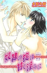 奴●の掟は甘く淫らに（10） パッケージ画像