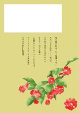 美男葛の庭 パッケージ画像裏