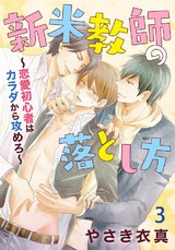 新米教師の落とし方～恋愛初心者はカラダから攻めろ～3 パッケージ画像