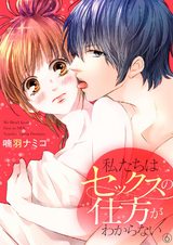 私たちはセックスの仕方がわからない6 パッケージ画像表