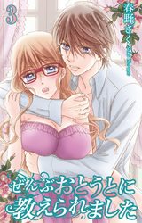 ぜんぶおとうとに教えられました3 パッケージ画像