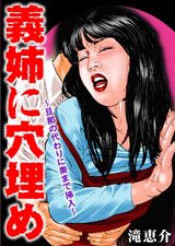 義姉に穴埋め~旦那の代わりに奥まで挿入~ パッケージ画像表