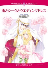 雨とシークとウエディングドレス パッケージ画像表