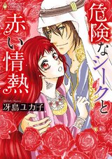 危険なシークと赤い情熱 パッケージ画像表
