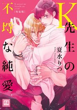 K先生の不埒な純愛(特装版) パッケージ画像表