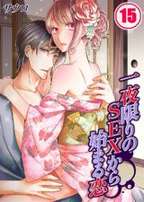 一夜限りのSEXから始まる恋(15) パッケージ画像表