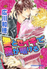 愛とセイギで夜が明ける パッケージ画像表
