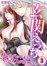玄関えっち★カレはベッドまでセックスが待てない。(3) パッケージ画像表