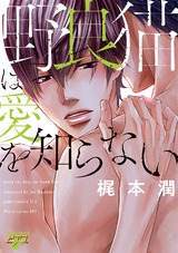 野良猫は愛を知らない パッケージ画像表