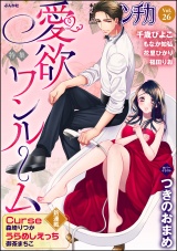 禁断Loversロマンチカ Vol.026 愛欲ワンルーム パッケージ画像表