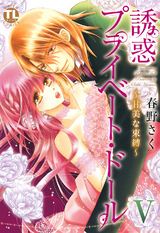 誘惑プライベート・ドール5 パッケージ画像