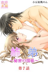 姉×弟～秘密の関係～ 7話 パッケージ画像