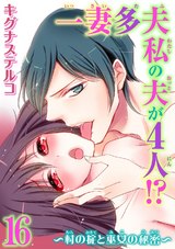 一妻多夫　私の夫が4人!?　～村の掟と巫女の秘密～16 パッケージ画像