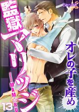監獄マリッジ~オレの子を産め~(13) パッケージ画像表