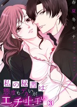 私の秘書は態度もデカいが、エッチは上手い3 パッケージ画像表