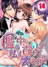 檻の中、私は淫らに壊される。(14) パッケージ画像表