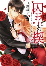 囚われの楔～堕ちた令嬢はベッドで飼われる～ パッケージ画像