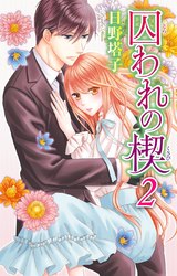囚われの楔2 パッケージ画像