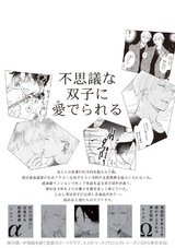 あいとまこと パッケージ画像裏