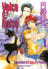 Voice or Noise(1) パッケージ画像表