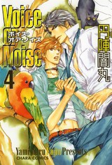 Voice or Noise(4) パッケージ画像表