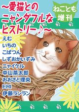 ねことも増刊～愛猫とのニャンダフルなヒストリー♪～ パッケージ画像