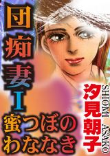 団痴妻Ⅰ 蜜つぼのわななき パッケージ画像表