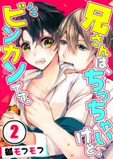 兄さんは、ちっちゃいけど、ビンカンです。(2) パッケージ画像表