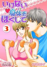 いけない身体をほぐして 3 パッケージ画像表