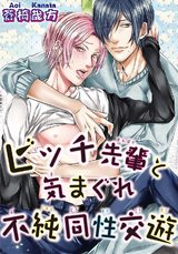 ビッチ先輩と気まぐれ不純同性交遊 パッケージ画像表