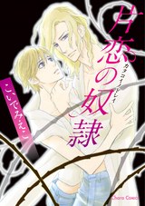 片恋の奴隷 パッケージ画像表