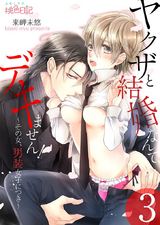 ヤクザと結婚なんてデキません!~その女、男装女子につき~ 3 パッケージ画像表