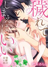 穢れてしまえばいい~禁断の甘い糸3 パッケージ画像表
