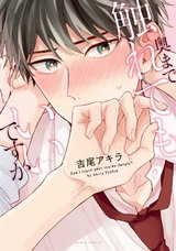 奥まで触れてもいいですか パッケージ画像表