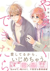 やさしくできたら パッケージ画像表