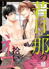 若旦那の拾いネコ(1) パッケージ画像表
