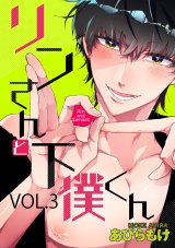 リンさんと下僕くん 3話 パッケージ画像表