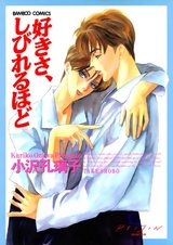 好きさ、しびれるほど パッケージ画像表