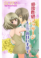 愛欲性感マッサージ～王子の甘い手淫～3 パッケージ画像