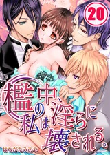檻の中、私は淫らに壊される。(20) パッケージ画像表