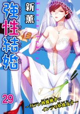 強性結婚～ガテン肉食男子×インテリ草食女子～29 パッケージ画像