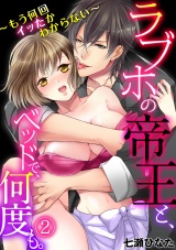 ラブホの帝王と、ベッドで、何度も。~もう何回イッたかわからない~(2) パッケージ画像表