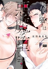天使の囁きは悪魔を堕とす 【電子限定特典付き】 パッケージ画像表