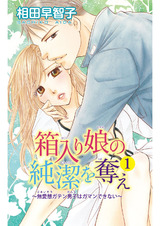 箱入り娘の純潔を奪え～無愛想ガテン男子はガマンできない～1 パッケージ画像