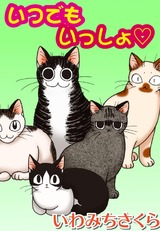 いつでもいっしょ○ パッケージ画像表