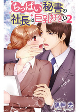 ちっぱい秘書の社長は巨乳好き!?2 パッケージ画像