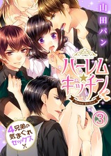 ハーレム★キッチン～４兄弟の気まぐれセックス～(3) パッケージ画像