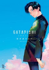GATAPISHI パッケージ画像