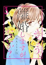 きょう、離婚しますがなにか？ 3 パッケージ画像